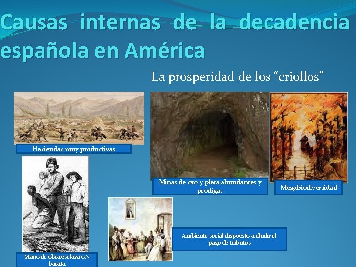 Causas internas de la decadencia española en América La prosperidad de los “criollos” Haciendas