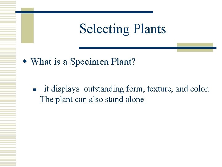 Selecting Plants w What is a Specimen Plant? n it displays outstanding form, texture,