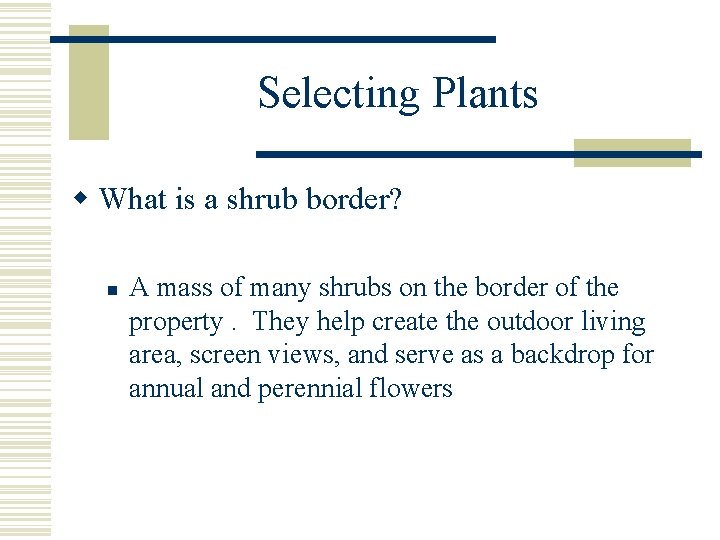 Selecting Plants w What is a shrub border? n A mass of many shrubs