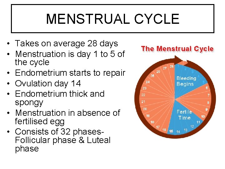 MENSTRUAL CYCLE • Takes on average 28 days • Menstruation is day 1 to