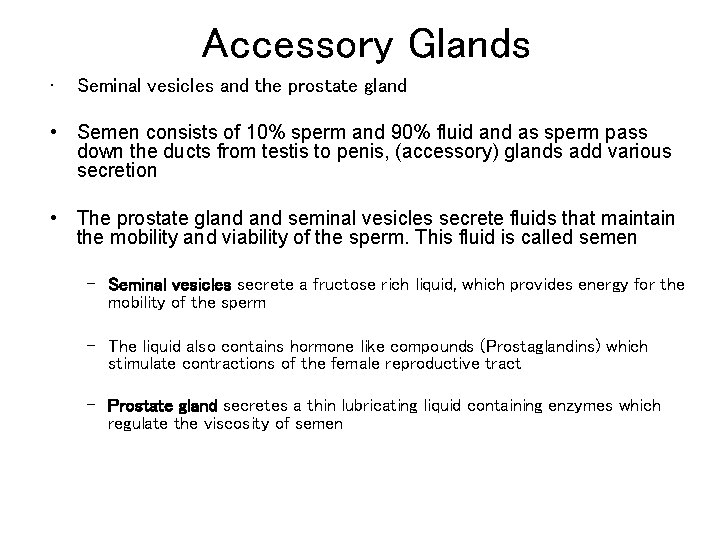 Accessory Glands • Seminal vesicles and the prostate gland • Semen consists of 10%