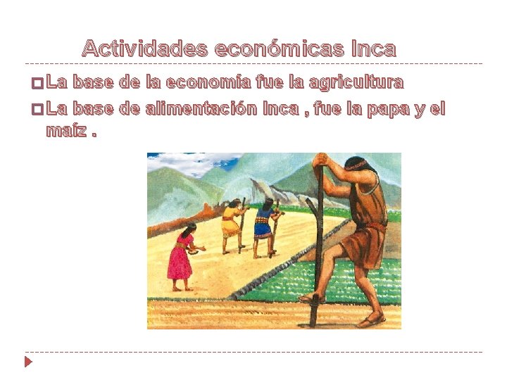 Actividades económicas Inca � La base de la economía fue la agricultura � La