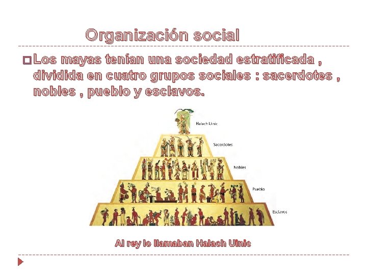 Organización social � Los mayas tenían una sociedad estratificada , dividida en cuatro grupos