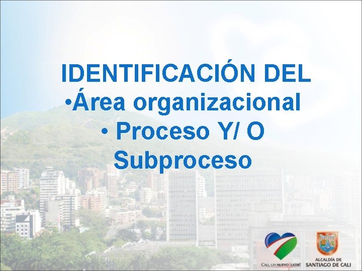 IDENTIFICACIÓN DEL • Área organizacional • Proceso Y/ O Subproceso 