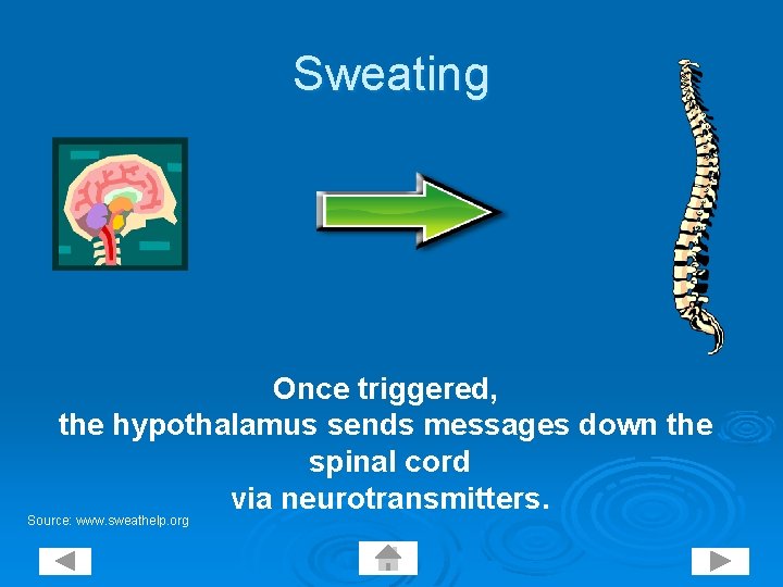 Sweating Once triggered, the hypothalamus sends messages down the spinal cord via neurotransmitters. Source: