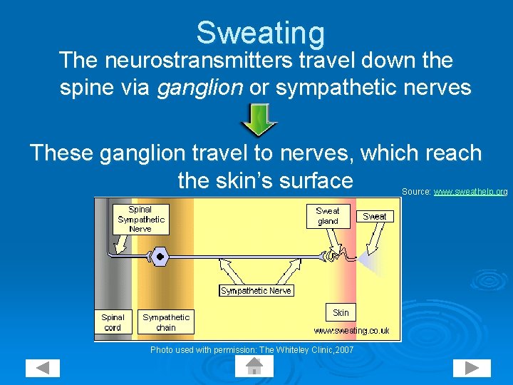 Sweating The neurostransmitters travel down the spine via ganglion or sympathetic nerves These ganglion