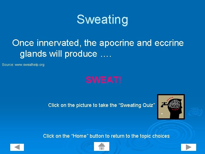 Sweating Once innervated, the apocrine and eccrine glands will produce …. Source: www. sweathelp.