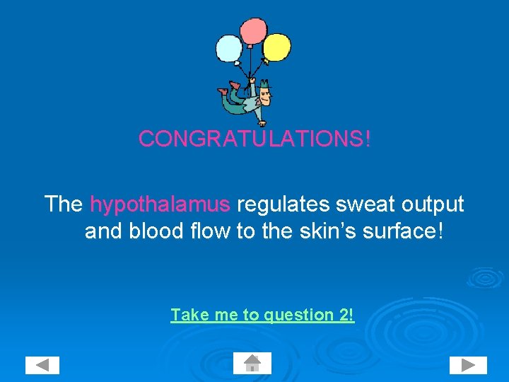 CONGRATULATIONS! The hypothalamus regulates sweat output and blood flow to the skin’s surface! Take