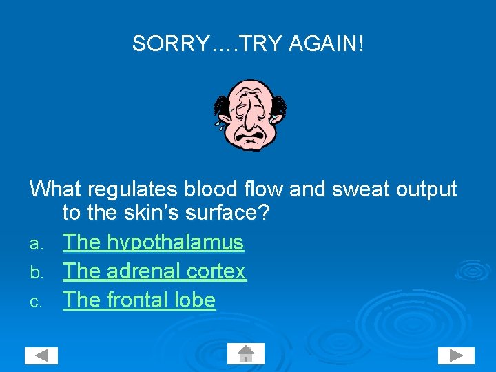 SORRY…. TRY AGAIN! What regulates blood flow and sweat output to the skin’s surface?