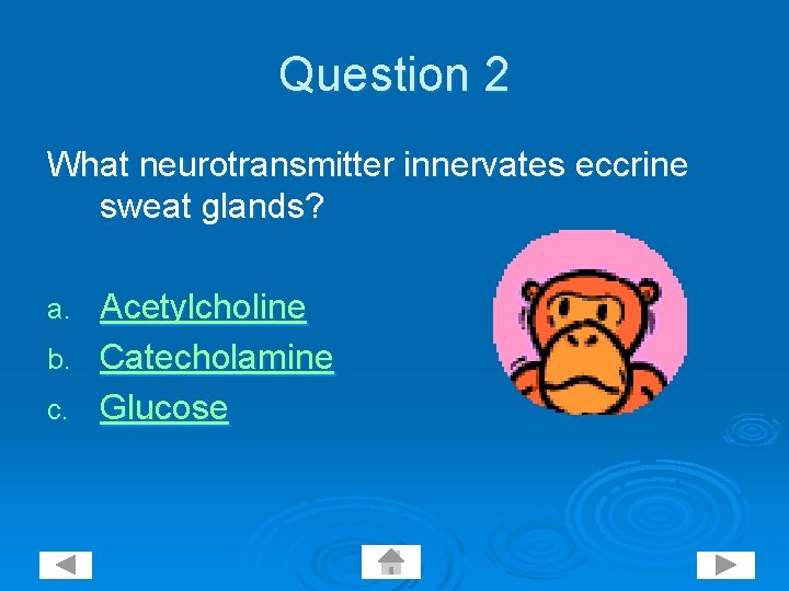 Question 2 What neurotransmitter innervates eccrine sweat glands? Acetylcholine b. Catecholamine c. Glucose a.