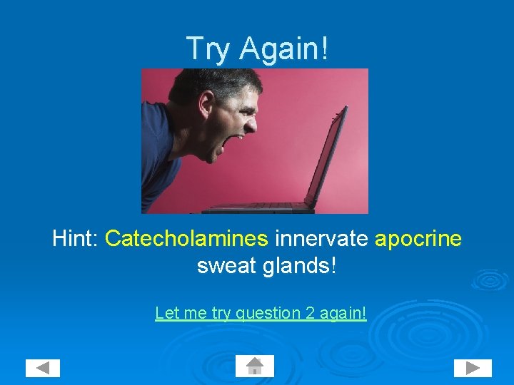 Try Again! Hint: Catecholamines innervate apocrine sweat glands! Let me try question 2 again!