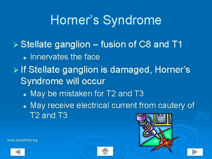 Horner’s Syndrome Ø Stellate ganglion – fusion of C 8 and T 1 l