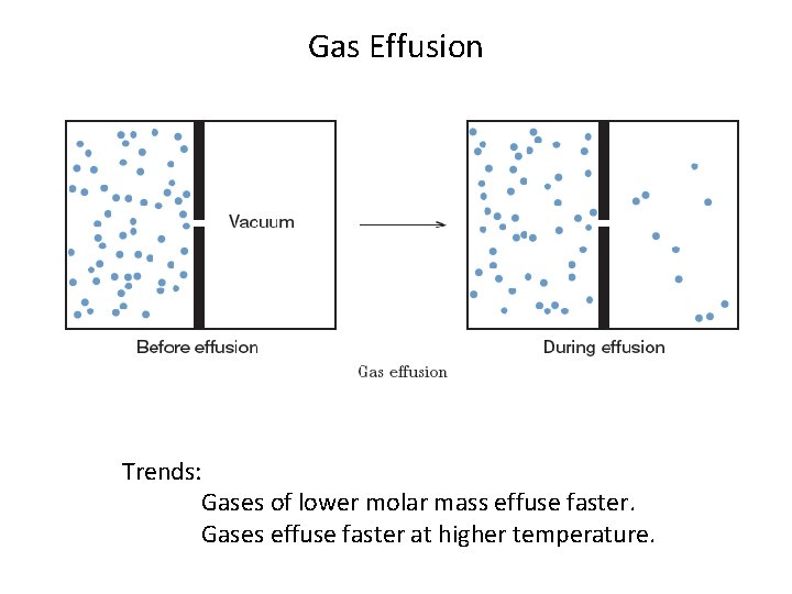 Gas Effusion Trends: Gases of lower molar mass effuse faster. Gases effuse faster at