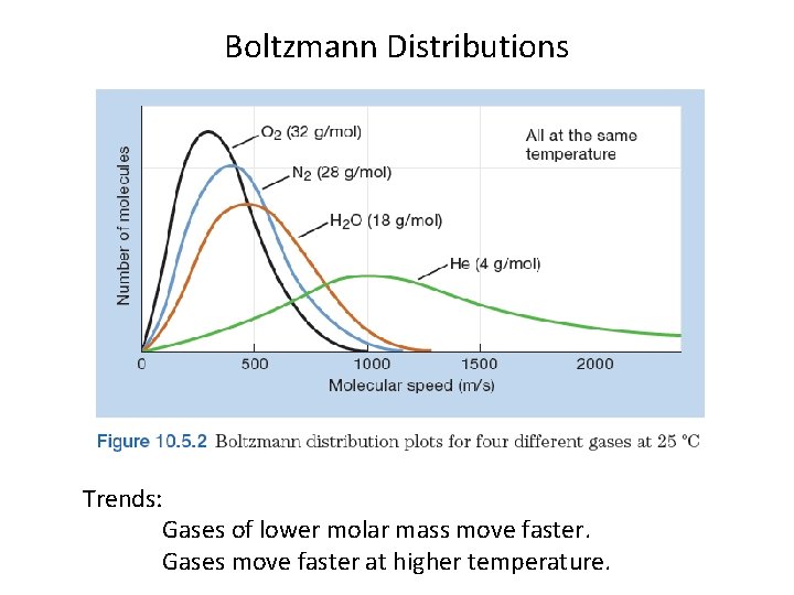 Boltzmann Distributions Trends: Gases of lower molar mass move faster. Gases move faster at