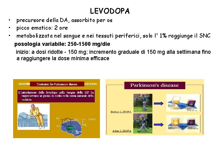 LEVODOPA • • • precursore della DA, assorbito per os picco ematico: 2 ore