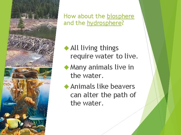 How about the biosphere and the hydrosphere? All living things require water to live.