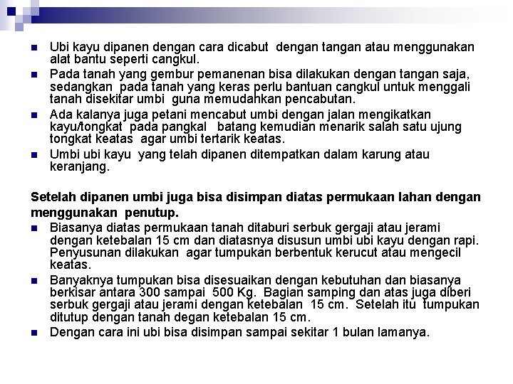 n n Ubi kayu dipanen dengan cara dicabut dengan tangan atau menggunakan alat bantu