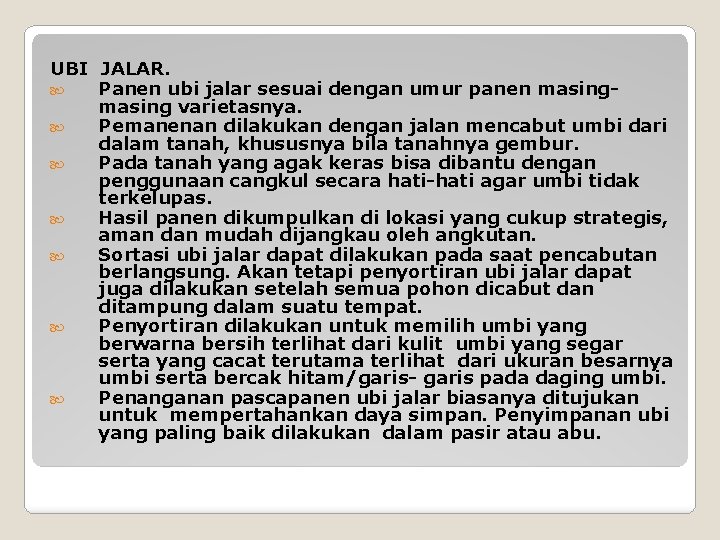 UBI JALAR. Panen ubi jalar sesuai dengan umur panen masing varietasnya. Pemanenan dilakukan dengan