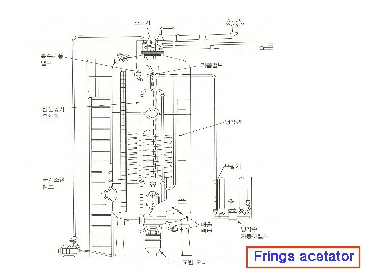 Frings acetator 