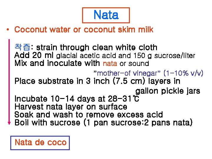 Nata • Coconut water or coconut skim milk 착즙: strain through clean white cloth