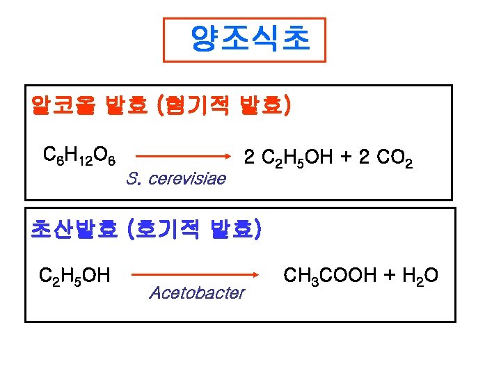 양조식초 알코올 발효 (혐기적 발효) C 6 H 12 O 6 S. cerevisiae 2