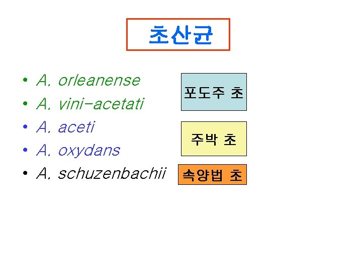 초산균 • • • A. A. A. orleanense vini-acetati aceti oxydans schuzenbachii 포도주 초