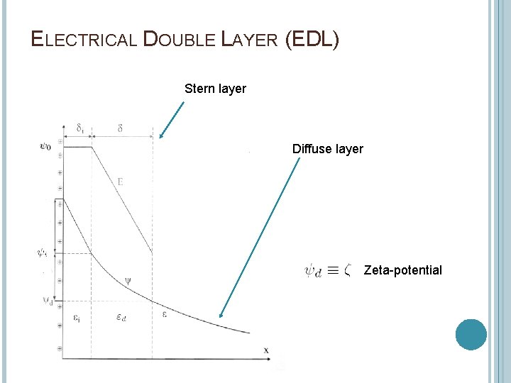 ELECTRICAL DOUBLE LAYER (EDL) Stern layer Diffuse layer Zeta-potential 