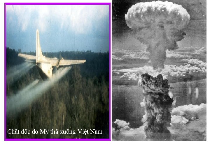 Chất độc do Mỹ thả xuống Việt Nam 
