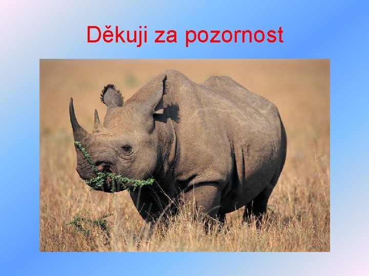 Děkuji za pozornost 