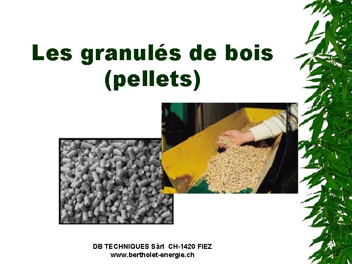 Les granulés de bois (pellets) DB TECHNIQUES Sàrl CH-1420 FIEZ www. bertholet-energie. ch 