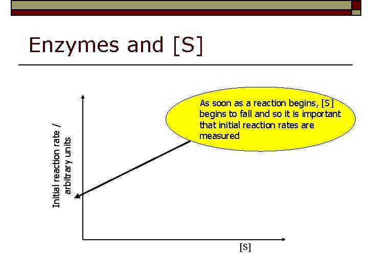 Initial reaction rate / arbitrary units Enzymes and [S] As soon as a reaction