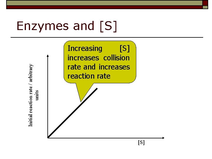 Initial reaction rate / arbitrary units Enzymes and [S] Increasing [S] increases collision rate