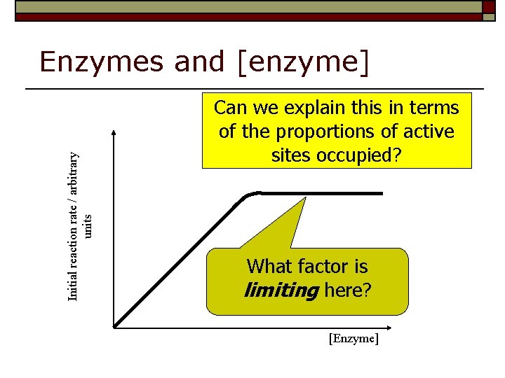 Initial reaction rate / arbitrary units Enzymes and [enzyme] Can we explain this in