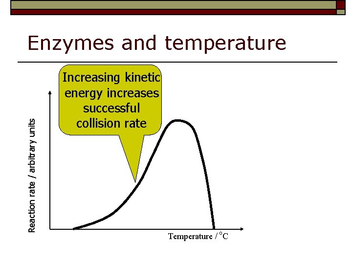 Reaction rate / arbitrary units Enzymes and temperature Increasing kinetic energy increases successful collision