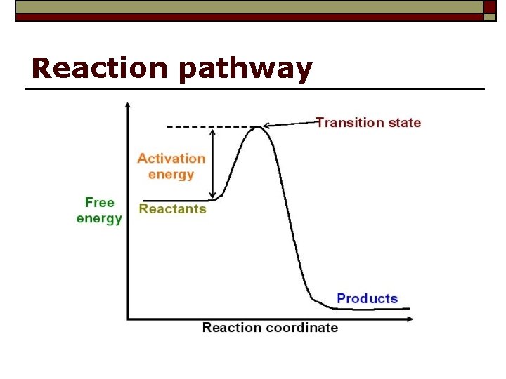 Reaction pathway 