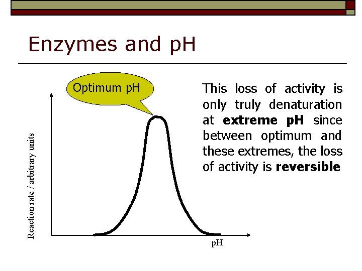 Enzymes and p. H Reaction rate / arbitrary units Optimum p. H This loss