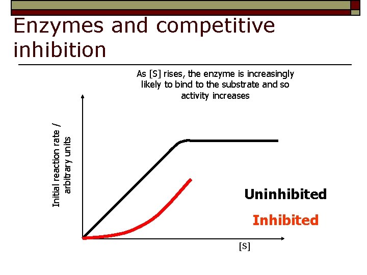 Enzymes and competitive inhibition Initial reaction rate / arbitrary units As [S] rises, the