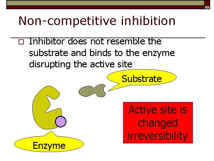 Non-competitive inhibition o Inhibitor does not resemble the substrate and binds to the enzyme