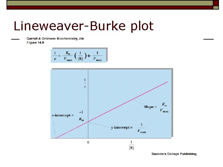 Lineweaver-Burke plot 