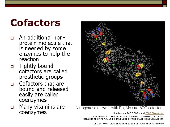 Cofactors o o An additional nonprotein molecule that is needed by some enzymes to