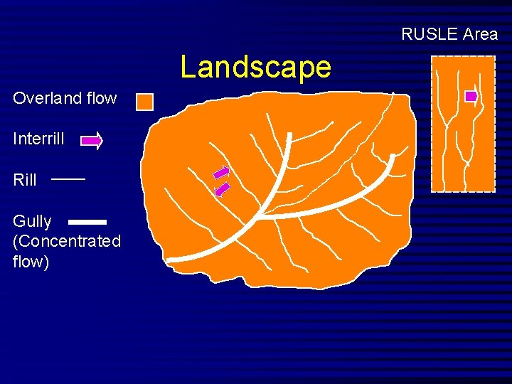 RUSLE Area Landscape Overland flow Interrill Rill Gully (Concentrated flow) 