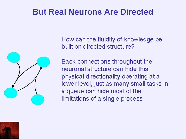 But Real Neurons Are Directed How can the fluidity of knowledge be built on