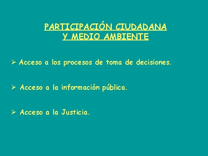 PARTICIPACIÓN CIUDADANA Y MEDIO AMBIENTE Ø Acceso a los procesos de toma de decisiones.