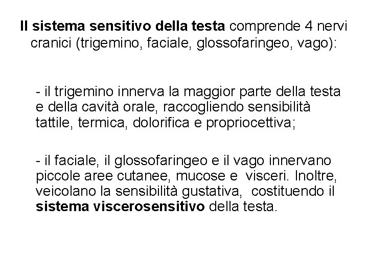 Il sistema sensitivo della testa comprende 4 nervi cranici (trigemino, faciale, glossofaringeo, vago): -