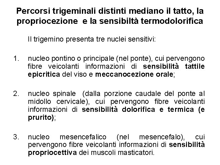 Percorsi trigeminali distinti mediano il tatto, la propriocezione e la sensibiltà termodolorifica Il trigemino