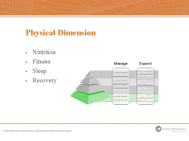 Physical Dimension § Nutrition § Fitness Sleep § Recovery § Physical Dimension § Nutrition § Fitness Sleep § Recovery §