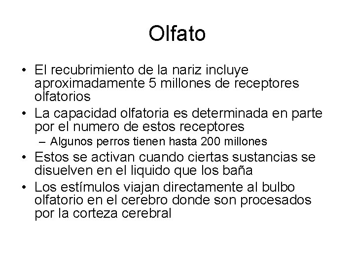 Olfato • El recubrimiento de la nariz incluye aproximadamente 5 millones de receptores olfatorios