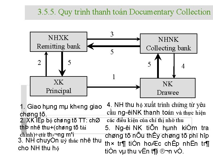 3. 5. 5. Quy trình thanh toán Documentary Collection NHXK Remitting bank 2 3