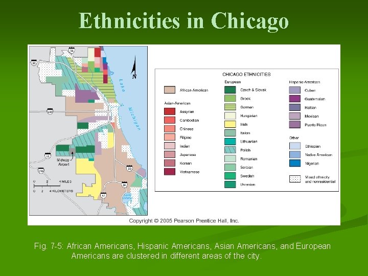 Ethnicities in Chicago Fig. 7 -5: African Americans, Hispanic Americans, Asian Americans, and European