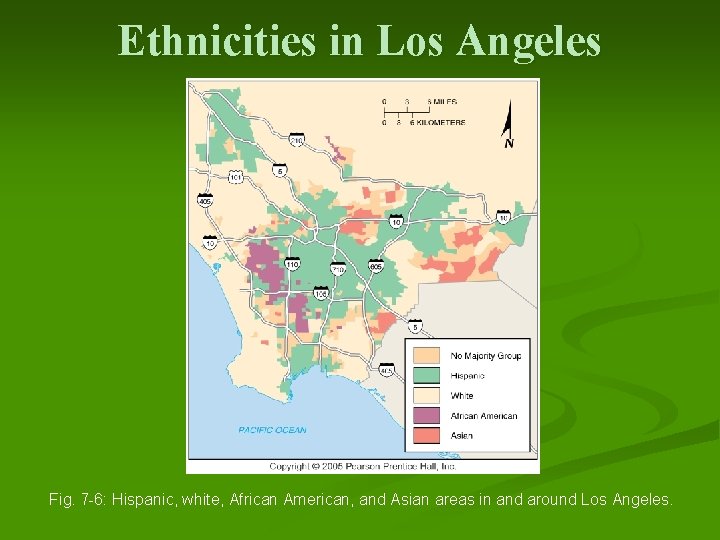 Ethnicities in Los Angeles Fig. 7 -6: Hispanic, white, African American, and Asian areas